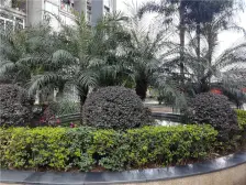 南坪东路 东原锦悦二房71万