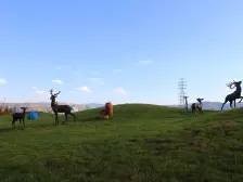 银河国际C区别墅,上下4层,精装带家具家电