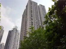 明发江南景苑 1室1厅 南 北