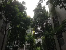 加州新牌坊 旭日凤凰城八房