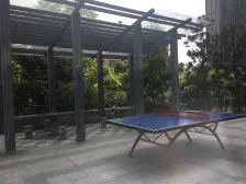 珠江国际 2室1厅 东南