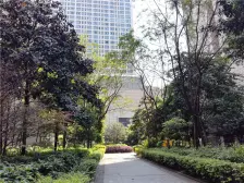 南坪 上海城 精装大户型低价出售