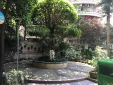 金叶世家 4室2厅 东南 南