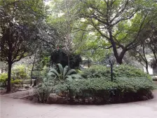 南坪东路 东原锦悦三房120万