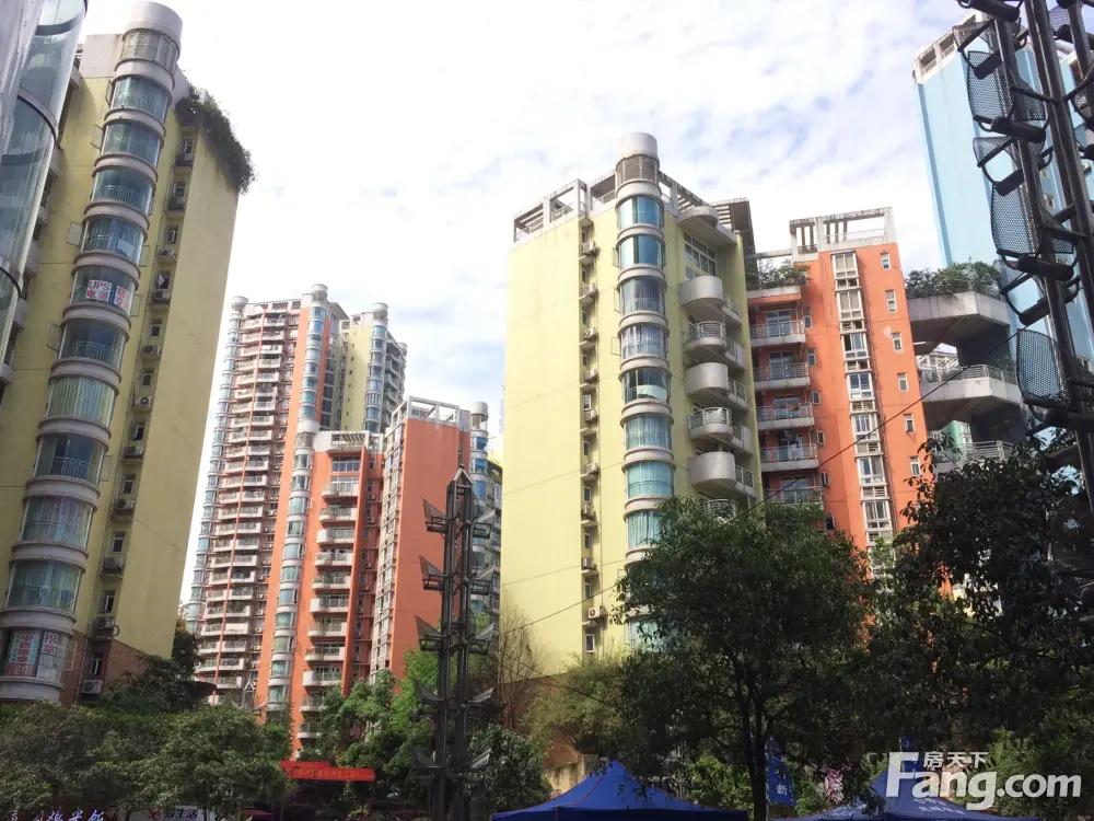 实景图