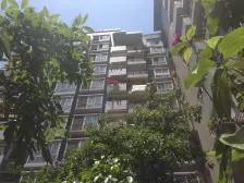 加州新牌坊 龙华苑三房98万