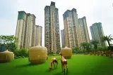 雅居乐英伦首府