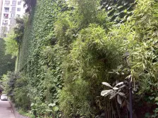 黄泥磅 低总价 正规一房 近轻轨