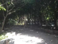 加州新牌坊 易初莲花国际公馆四房238万