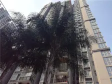 海棠溪环线旁,精装正规一室一厅,生活配套齐全