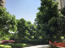 石坪桥 桃源丽景 清水正规1室带阳台 业主急售