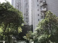 石坪桥 阳光心悦三房150万