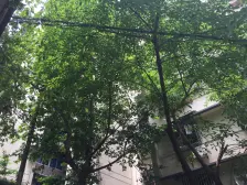 老城区 梨园村(北碚)二房