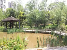 龙头寺 公园 红土地 轻轨 6 10号线 吉安园 视野好