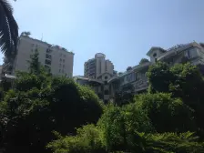 加州新牌坊 天一桂湖花源三房85万