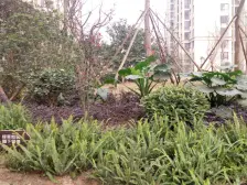 房源属于精装三房,业主诚心出售,看房方便