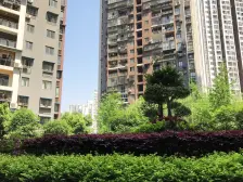 此房楼层好 石坪桥商圈 配套成熟 交通方便