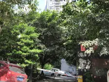 石坪桥 阳光心悦二房63万