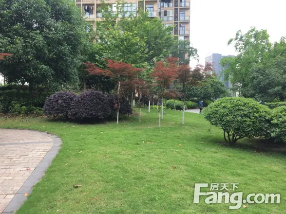 明发御景园实景图