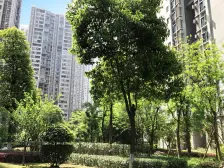 必卖好房杨家坪商圈石坪桥轻轨旁价格可谈店长推介