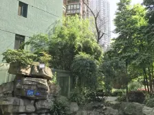 石坪桥 金桥彼岸(桃景阁)一房40万