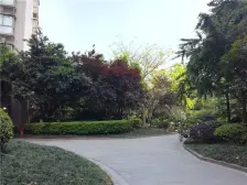 学府路 江南国际新城三房115万