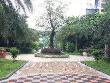 背靠公园 洋房社区 经典户型 业主诚心卖 价格可D