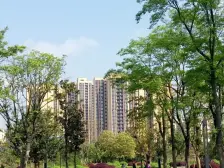 龙湖天街旁 近地铁 近公园 户型好 看房方便