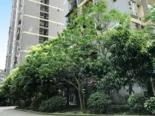 石坪桥商圈 楼下永辉 住家精装 采光好