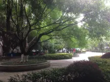 冉家坝 石油龙脊小区二房41.2万