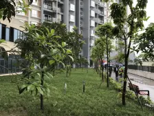 滩子口片区 新华春天二房