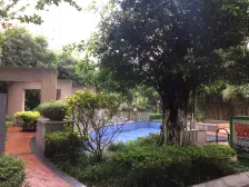 新上房源烟灯山公园志龙玖嘉怡顶跃带花园出售