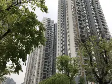 滩子口片区 新华春天二房82万