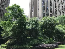 保利花半里玫瑰园 3室2厅 东