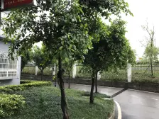 次新小区价格可谈,业主急售,看房方便。