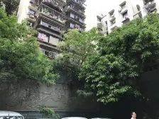 杨家坪 盛仁汇大厦一房65万