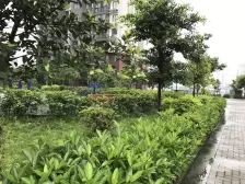 筑锦尚堰B区 2室1厅 东南 南