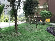 低楼层 小区安静 生活便利 居家舒适