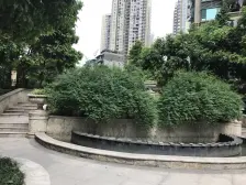 杨家坪 恒大绿洲三房105万