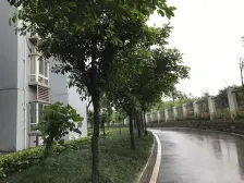 滩子口片区 新华春天三房76万