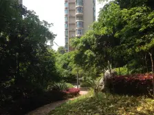 民安大道轻轨站口 洋房社区 电梯房 精装2房 户型通透