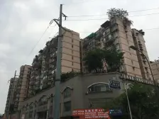 龙溪镇 新城绿园三房80万