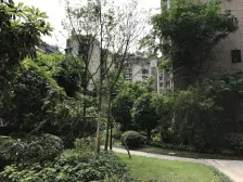 杨家坪 保利花半里二期(百合园)二房90万