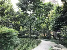 中冶幸福嶺 3室2厅 南 北