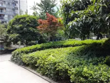 辅仁路 明发江南丽景一房49.4万