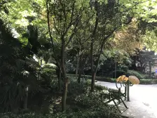 杨家坪步行街旁 盛世华城精装2房 拎包入住