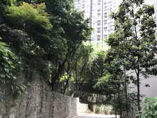 杨家坪商圈 精装修一室一厅户型 出行方便 配套齐全