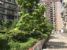 杨家坪 四季花园一房