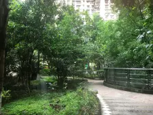 观音桥 银泰新苑二房101万