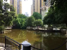 珠江华轩 1室1厅 东